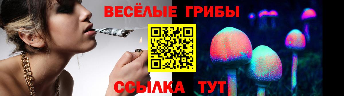 Галлюциногенные грибы GOLDEN TEACHER  Галлюциногенные грибы Magic Shrooms  Вход с VPN  дарнет шоп  Зеленокумск 