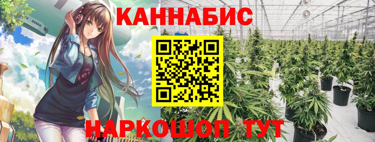 Бошки марихуана индика  Канабис Bruce Banner  Каннабис Ganja  Вход с VPN  Зеленокумск 
